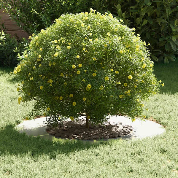 vidaXL adapté pour anneaux d'arbre plats 5 pc Argent Ø40/70 cm