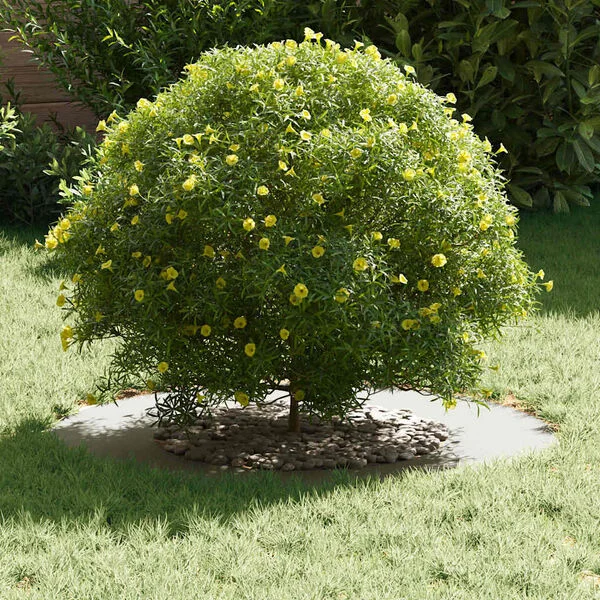 vidaXL adapté pour anneau d'arbre plat Blanc Ø40/70 cm Acier