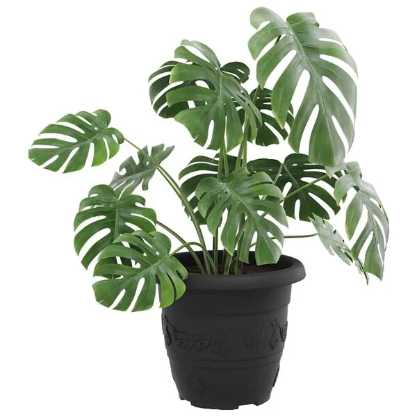 vidaXL Pot à fleurs rond 24 pc Noir Ø 30 x 25 cm Plastique