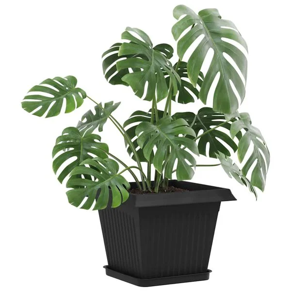 vidaXL Pots de plantes 6 pc Noir Plastique