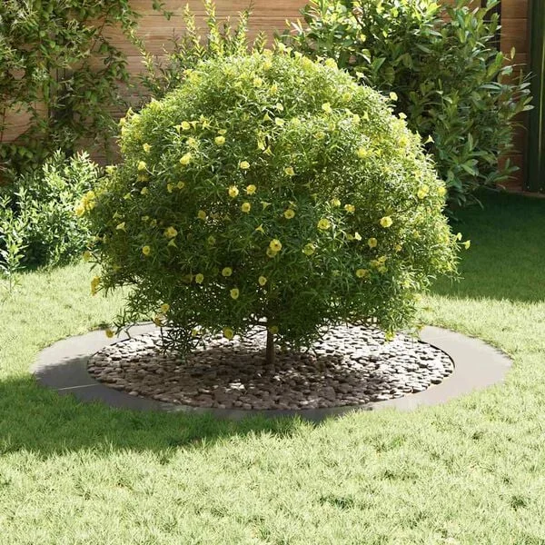 vidaXL adapté pour anneaux d'arbre plats 5 pc Argent Ø90/120 cm