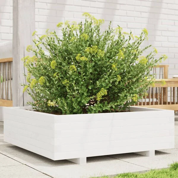 vidaXL Jardinière blanc 80x80x26, 5 cm bois de pin massif