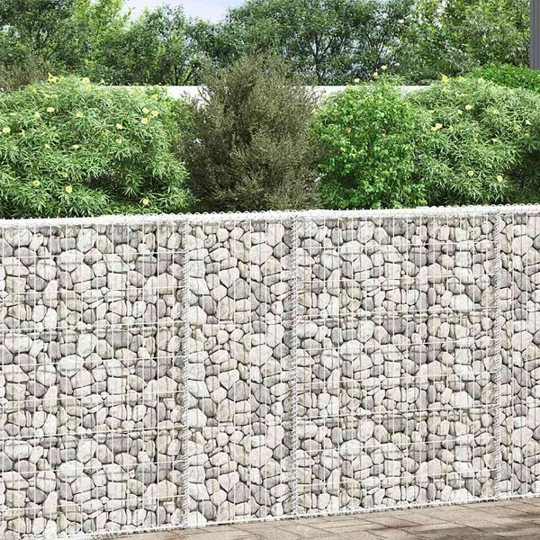 vidaXL Lit surélevé à gabion en trapèze Acier galvanisé 80x20x100 cm