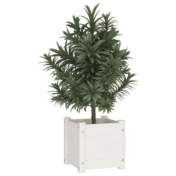 vidaXL Jardinière d'extérieur Blanc 31x31x31 cm Bois de pin massif