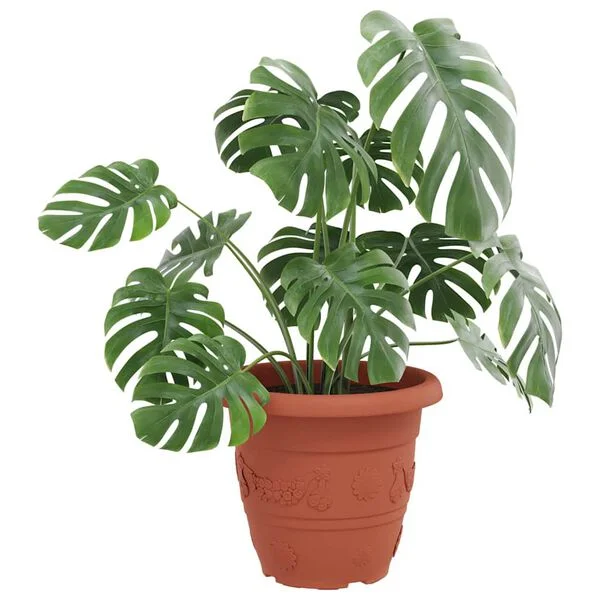 vidaXL Pot à fleurs rond 24 pc Rouge brique Ø 39 x 32 cm Plastique