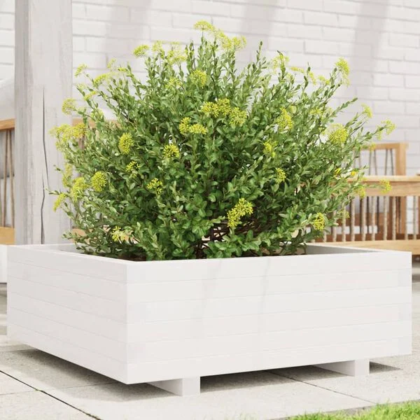 vidaXL Jardinière blanc 70x70x26, 5 cm bois de pin massif