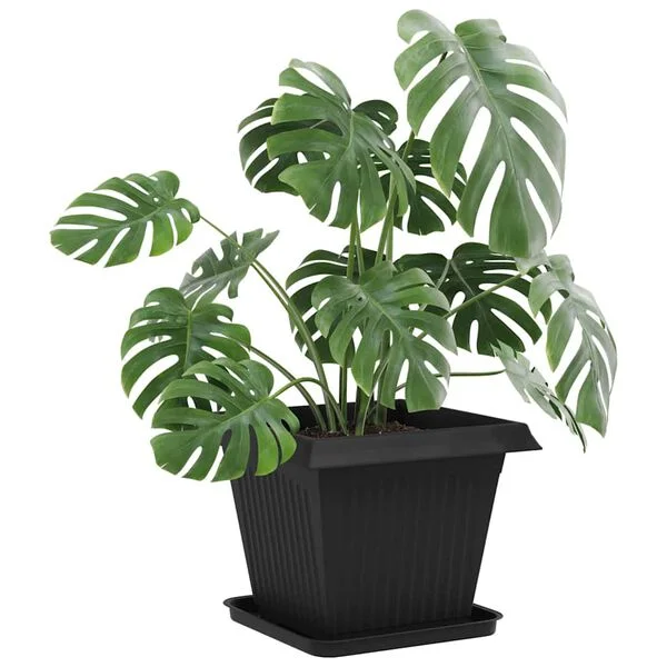 vidaXL Pots de plantes 6 pc Noir Plastique