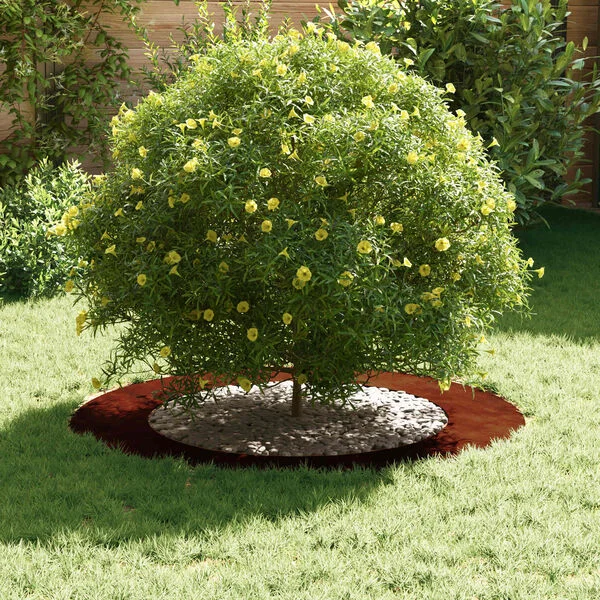 vidaXL adapté pour anneau d'arbre plat Rouillé Ø60/90 cm
