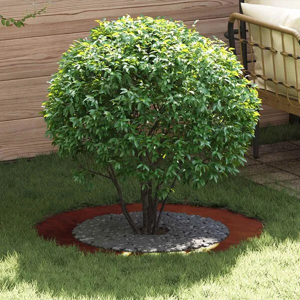 vidaXL adapté pour anneau d'arbre plat Rouillé Ø60/90 cm