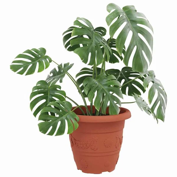 vidaXL Pot à fleurs rond 24 pc Rouge brique Ø 26 x 21, 5 cm Plastique