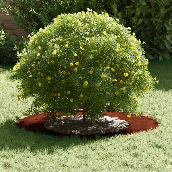 vidaXL adapté pour anneau d'arbre plat Rouillé Ø40/70 cm
