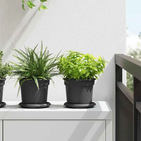 vidaXL Pot à fleurs rond 6 pc Noir Ø 15 x 12 cm Plastique