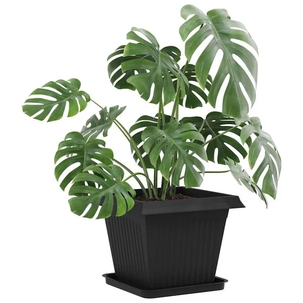 vidaXL Plateau carré à fleurs 6 pc Noir 36 x 36 x 3 cm Plastique