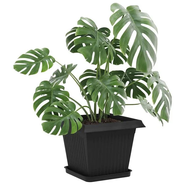 vidaXL Pots de plantes 6 pc Noir Plastique