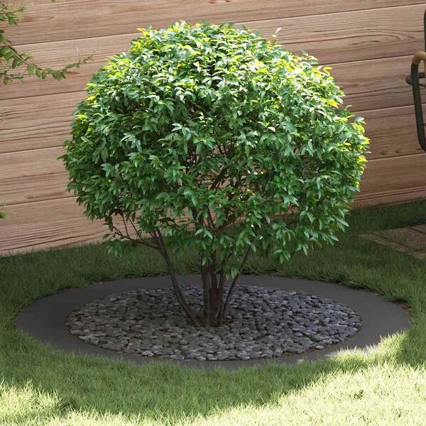 vidaXL adapté pour anneaux d'arbre plats 5 pc Noir Ø90/120 cm Acier