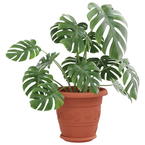 vidaXL Pots de plantes 24 pc Rouge brique Ø 22 x 18 cm Plastique