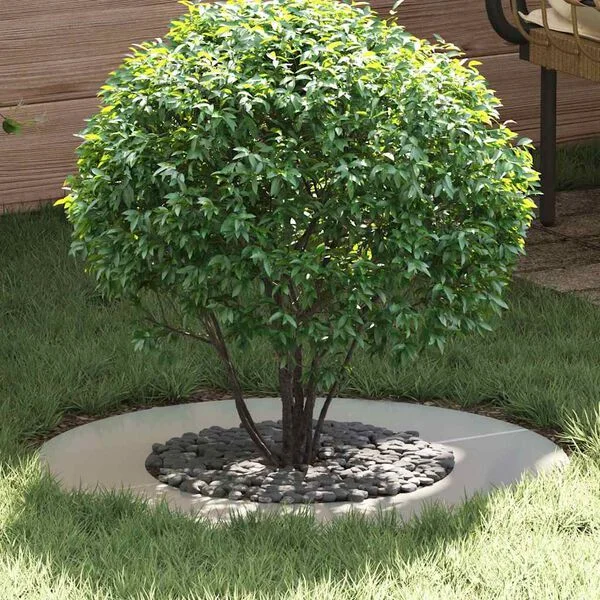 vidaXL adapté pour anneaux d'arbre plats 5 pc Argent Ø40/70 cm