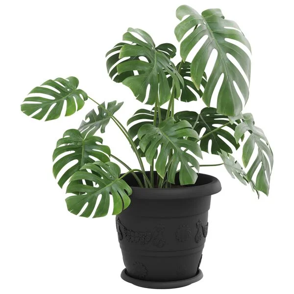 vidaXL Pots de plantes 24 pc Noir Ø 34 x 28 cm Plastique