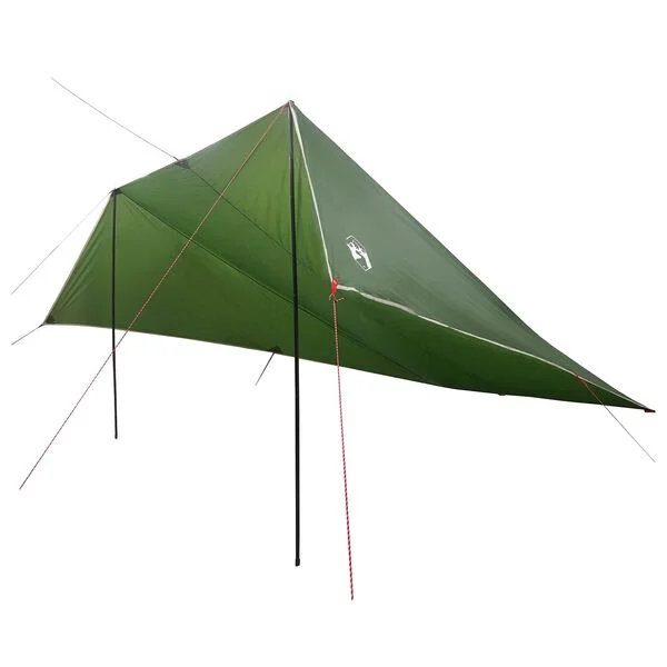 vidaXL Auvent de véhicule Vert 500 x 515 x 215 cm Polyester et Acier