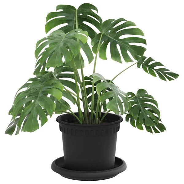 vidaXL Pots de plantes 24 pc Noir Plastique